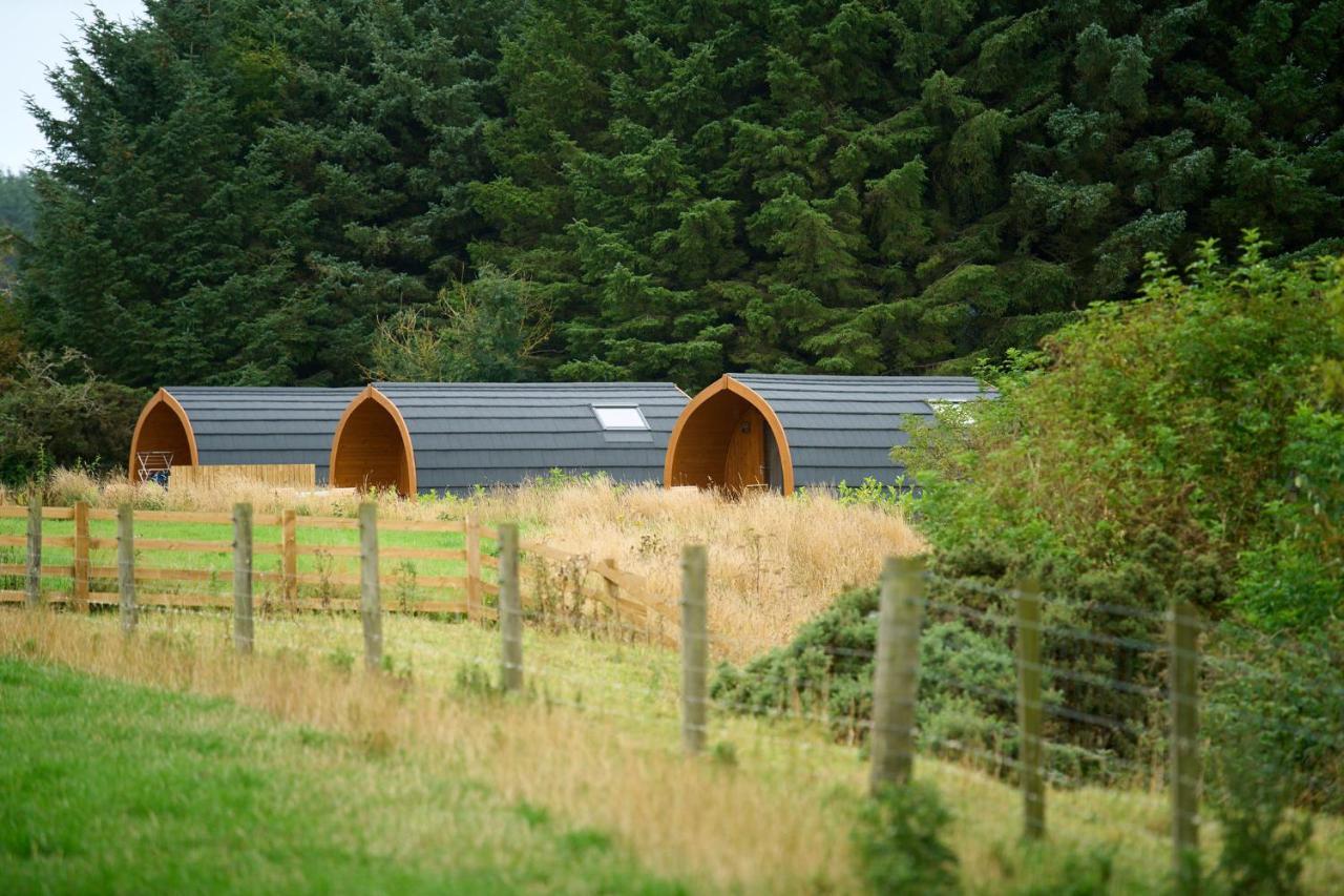 Villa Braeview Escapes Eyemouth Exterior foto